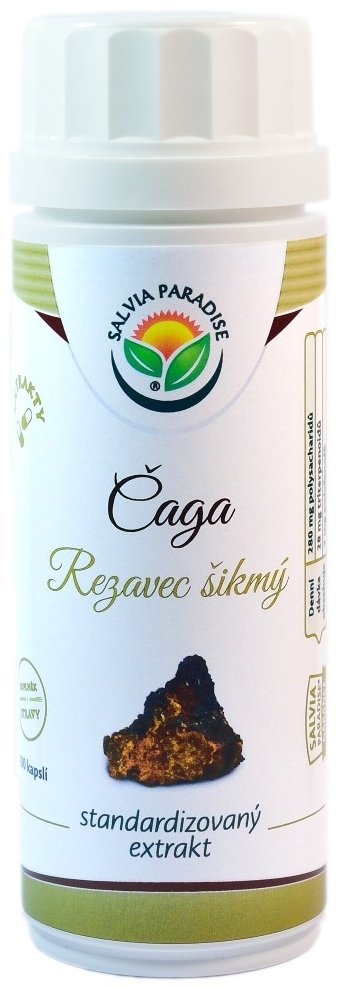 Salvia Paradise Čaga Rezavec šikmý standardizovaný extrakt 100 kapslí