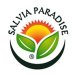 salvia-paradise-kava-panama-don-pepe-shg-1000g-zrnkova-13962-13962.jpg