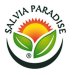 Salvia Paradise Rozchodnice Rhodiola 